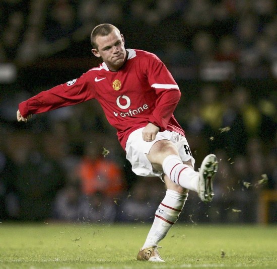 发挥其快速 发挥其快速